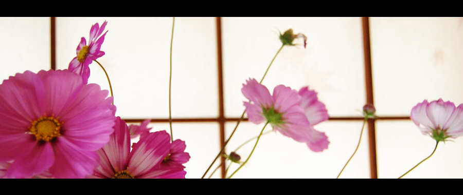 着付け教室 着付け屋着楽